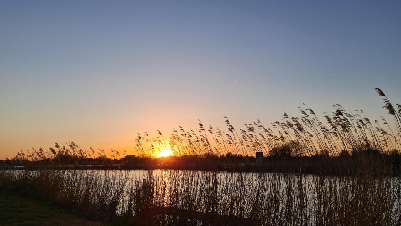 Verborgen Parel Aan De Rotte Rotterdam Exterior foto